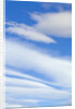 Clouds in Sky by Anonymous