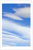 Clouds in Sky by Anonymous