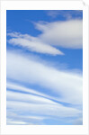 Clouds in Sky by Anonymous