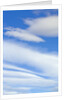 Clouds in Sky by Anonymous