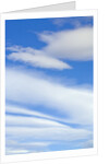 Clouds in Sky by Anonymous