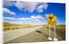Greater Rhea Crossing Sign on Rural Road by Anonymous