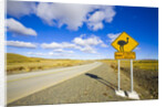 Greater Rhea Crossing Sign on Rural Road by Anonymous