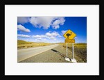 Greater Rhea Crossing Sign on Rural Road by Anonymous