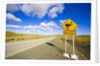 Greater Rhea Crossing Sign on Rural Road by Anonymous