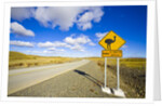 Greater Rhea Crossing Sign on Rural Road by Anonymous