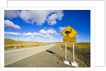 Greater Rhea Crossing Sign on Rural Road by Anonymous