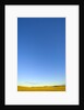Clear Sky above Grassland by Anonymous