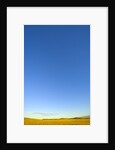 Clear Sky above Grassland by Anonymous