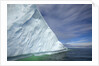 Massive Iceberg Floating in Sea by Anonymous