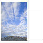 Adelie Penguin Colony on Rocky Landscape by Anonymous