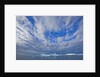 Clouds Above Sea and Snow-covered Coast by Anonymous