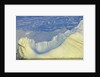 Wiggins Glacier Descending into Sea by Anonymous
