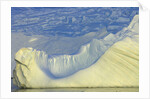 Wiggins Glacier Descending into Sea by Anonymous