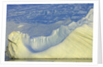 Wiggins Glacier Descending into Sea by Anonymous
