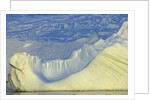Wiggins Glacier Descending into Sea by Anonymous