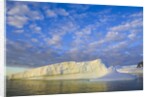 Wiggins Glacier in Early Evening Light by Anonymous