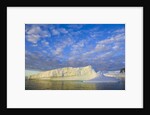 Wiggins Glacier in Early Evening Light by Anonymous