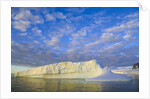 Wiggins Glacier in Early Evening Light by Anonymous
