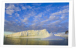 Wiggins Glacier in Early Evening Light by Anonymous