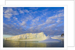 Wiggins Glacier in Early Evening Light by Anonymous