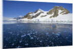 Snowy Mountains on Coast by Anonymous