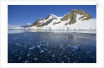 Snowy Mountains on Coast by Anonymous