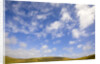 Cumulus Clouds above Tundra by Anonymous