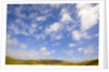 Cumulus Clouds above Tundra by Anonymous