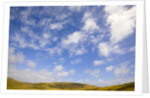 Cumulus Clouds above Tundra by Anonymous