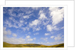 Cumulus Clouds above Tundra by Anonymous