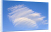 Clouds and Blue Sky by Anonymous