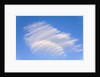 Clouds and Blue Sky by Anonymous
