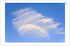 Clouds and Blue Sky by Anonymous