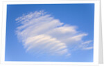 Clouds and Blue Sky by Anonymous