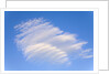 Clouds and Blue Sky by Anonymous
