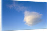 Cumulus Cloud in Blue Sky by Anonymous