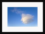 Cumulus Cloud in Blue Sky by Anonymous