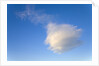 Cumulus Cloud in Blue Sky by Anonymous