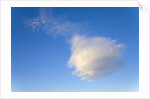 Cumulus Cloud in Blue Sky by Anonymous