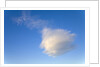 Cumulus Cloud in Blue Sky by Anonymous
