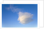 Cumulus Cloud in Blue Sky by Anonymous