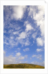 Cumulus Clouds above Hill by Anonymous