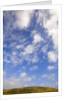 Cumulus Clouds above Hill by Anonymous