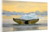 Humpback Whale Diving and Displaying Fluke by Anonymous