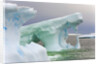 Sculpted Icebergs Floating in Ocean by Anonymous