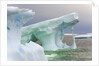Sculpted Icebergs Floating in Ocean by Anonymous