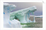 Sculpted Icebergs Floating in Ocean by Anonymous
