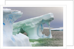 Sculpted Icebergs Floating in Ocean by Anonymous