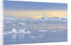 Ice Floating in the Southern Ocean by Anonymous